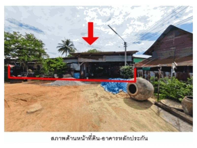 ป่าไก่ ปากท่อ ราชบุรี