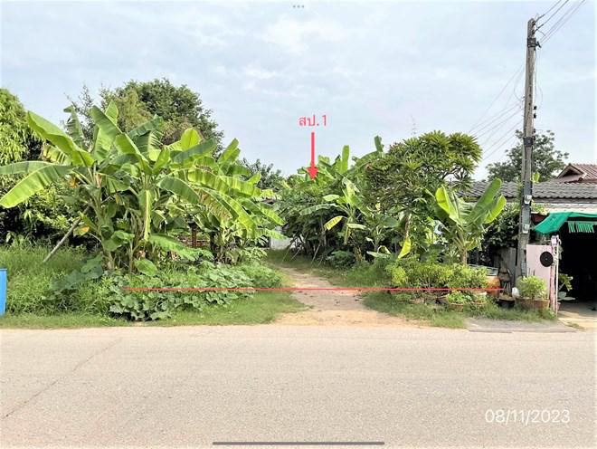 ดอนทราย โพธาราม ราชบุรี